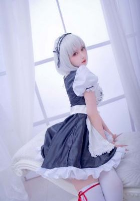 神犬小七第二季免费观看完整版_1080在线观看电视